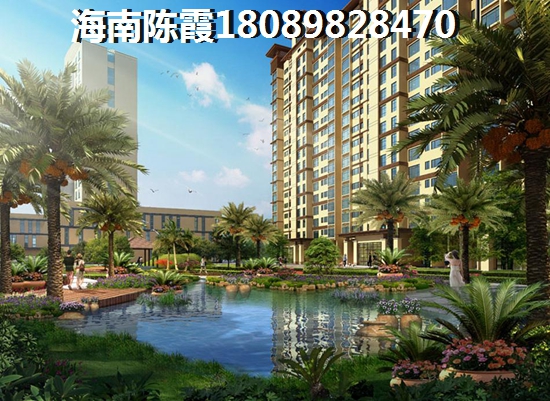 揽海听涛