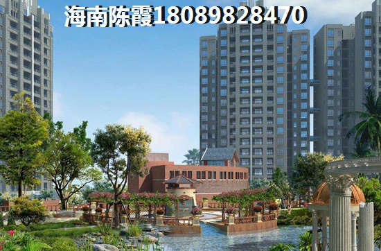 海南买房无路