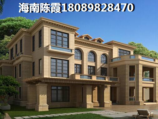 三亚海棠湾哪的房子具有touzi价纸？