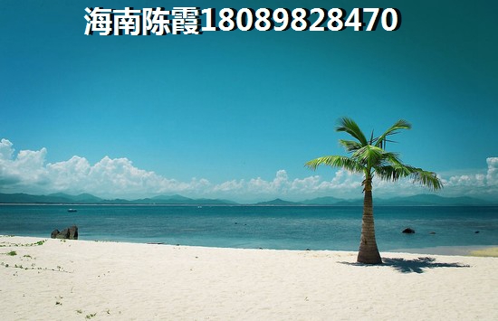 海南气候潮不潮湿？